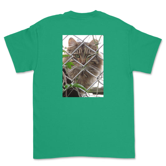 Green t-shirt with a cat behind a fence on the back