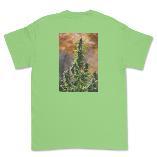 Green t-shirt with a cannabis plant graphic on a white background