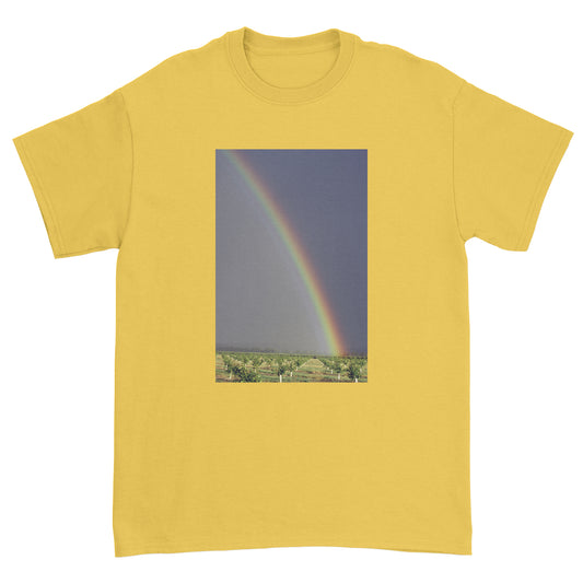 Rainbow in Anza B T-Shirt