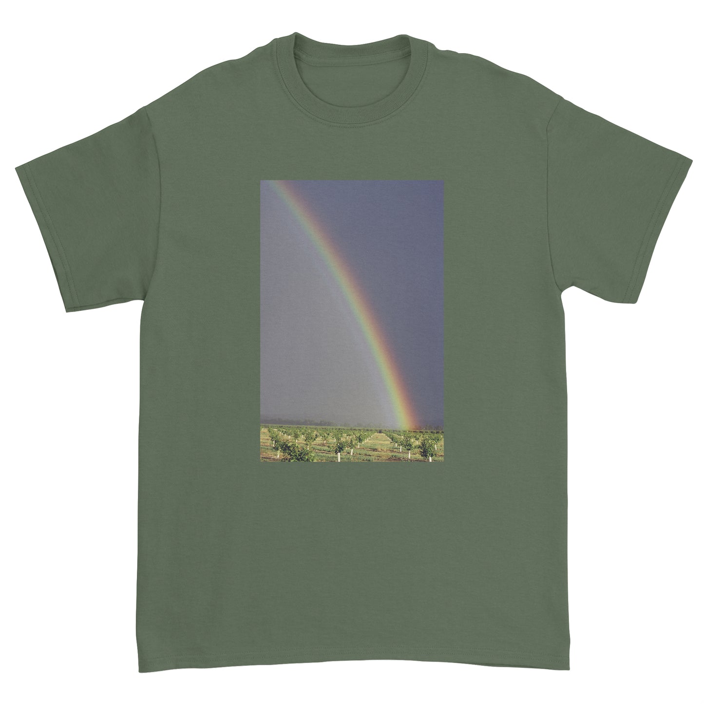 Rainbow in Anza B T-Shirt