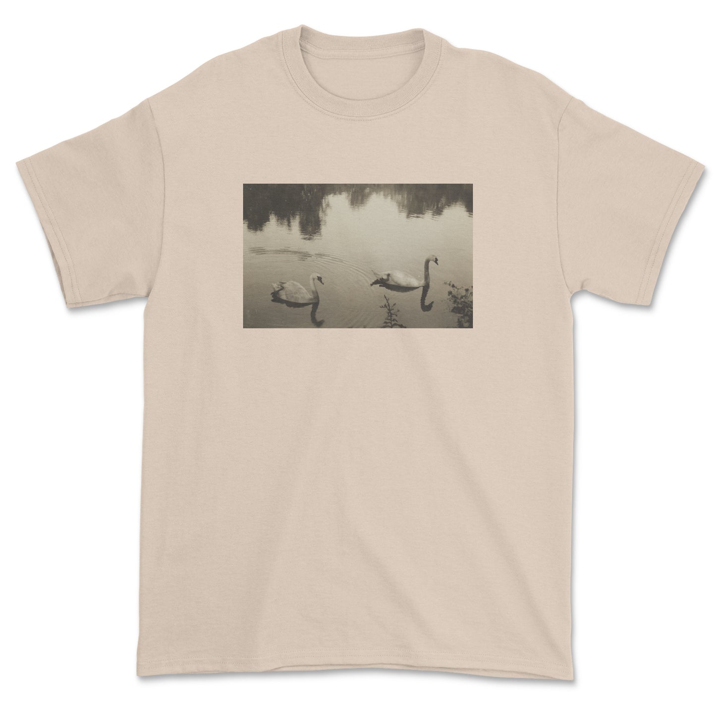 Swans T-Shirt