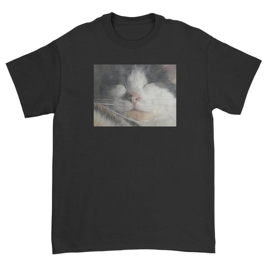 Sleeping Cat T-Shirt