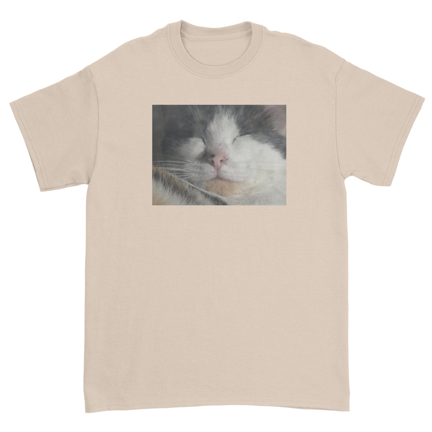 Sleeping Cat T-Shirt