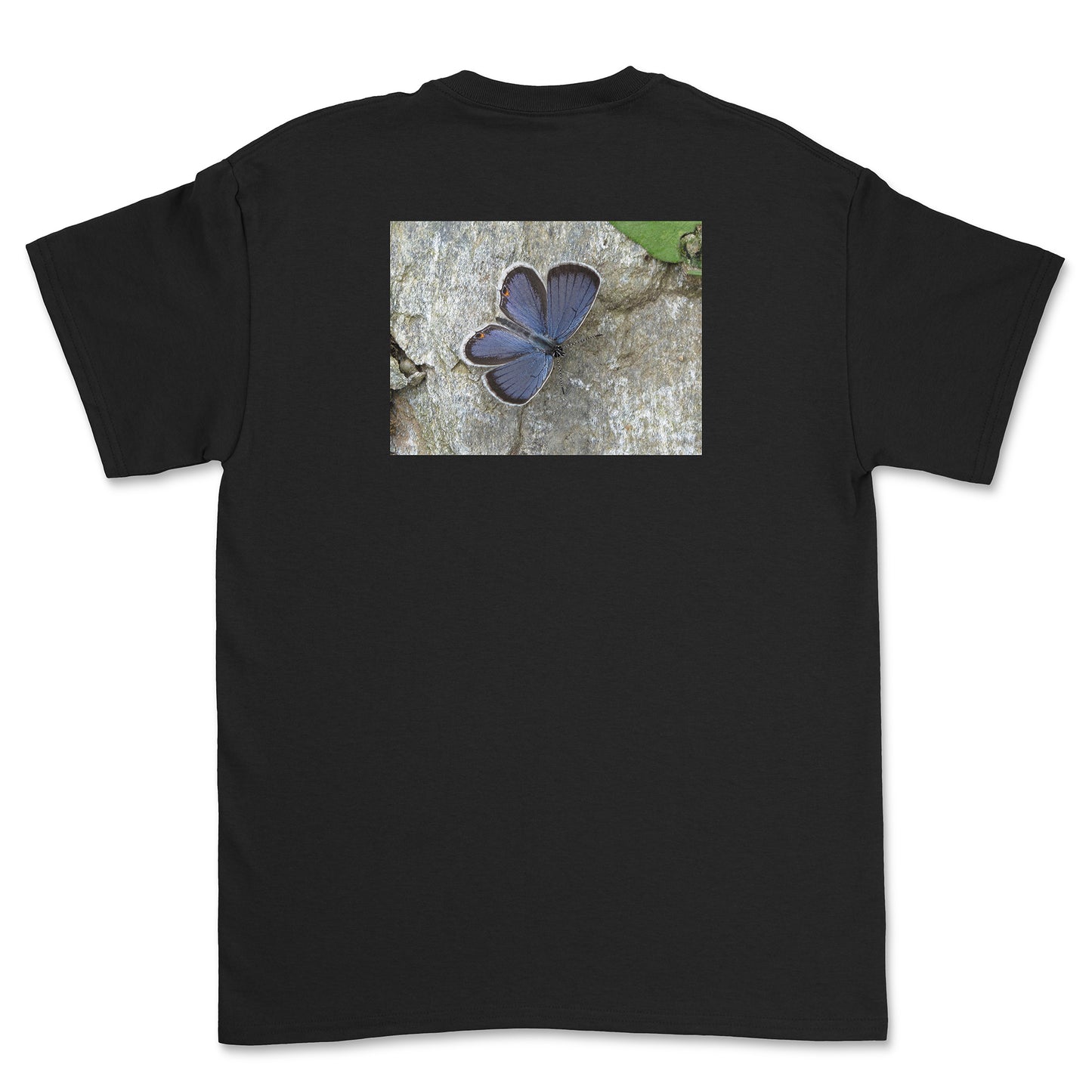 Melissa Blue T-Shirt