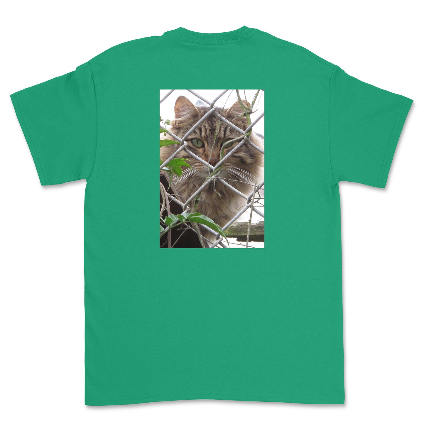 Green t-shirt with a cat behind a fence on the back