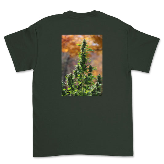 Black t-shirt with a cannabis plant design on the back against a white background