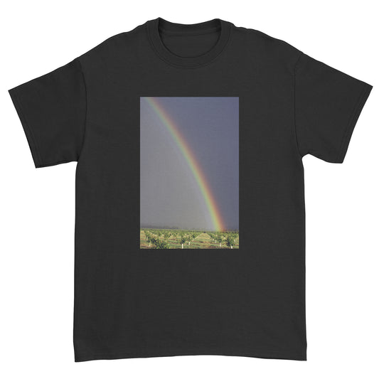 Black t-shirt with a printed image of a rainbow and landscape on a white background