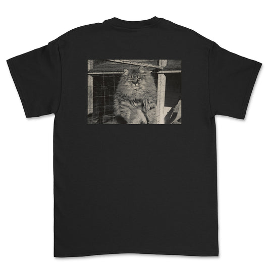 Barn Cat T-Shirt