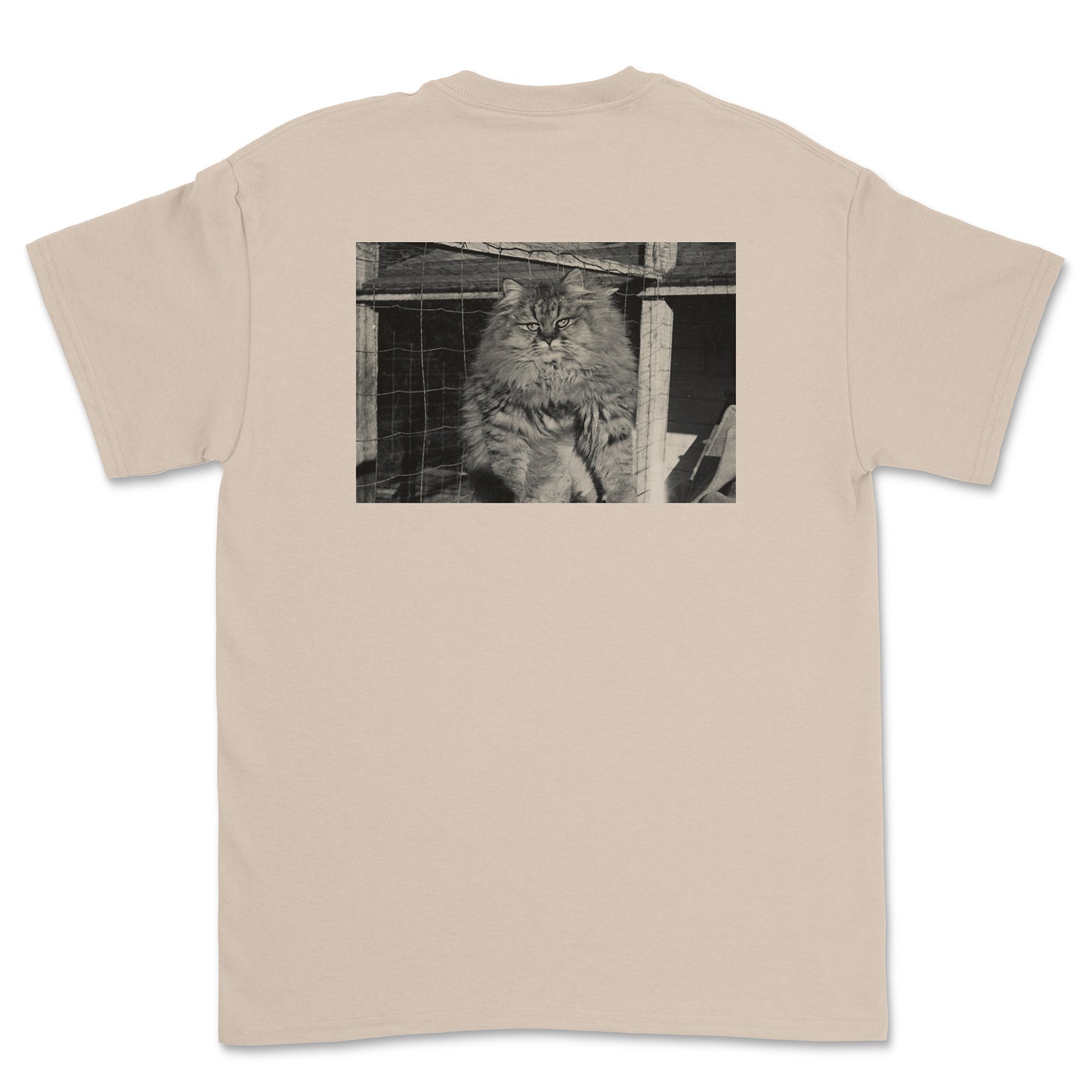 Barn Cat T-Shirt