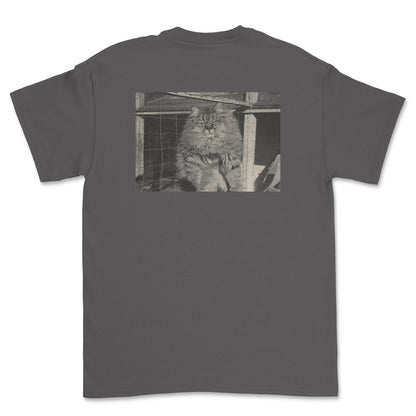 Barn Cat T-Shirt