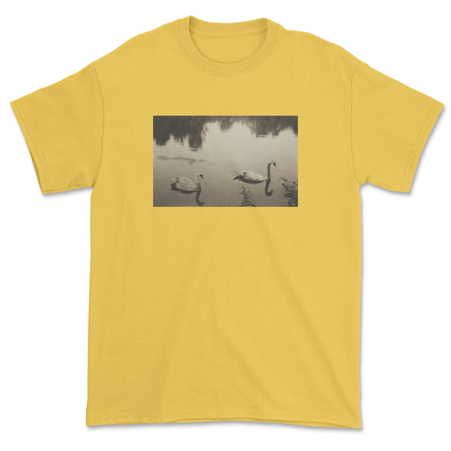 Swans T-Shirt