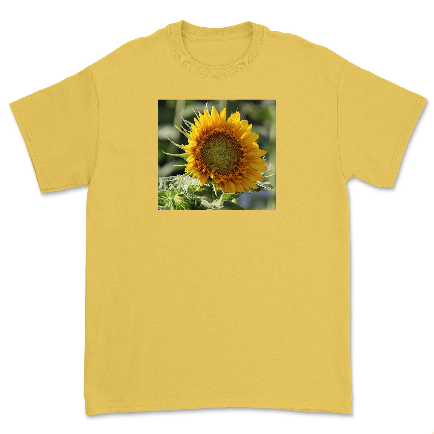 Sunflower Two T-Shirt