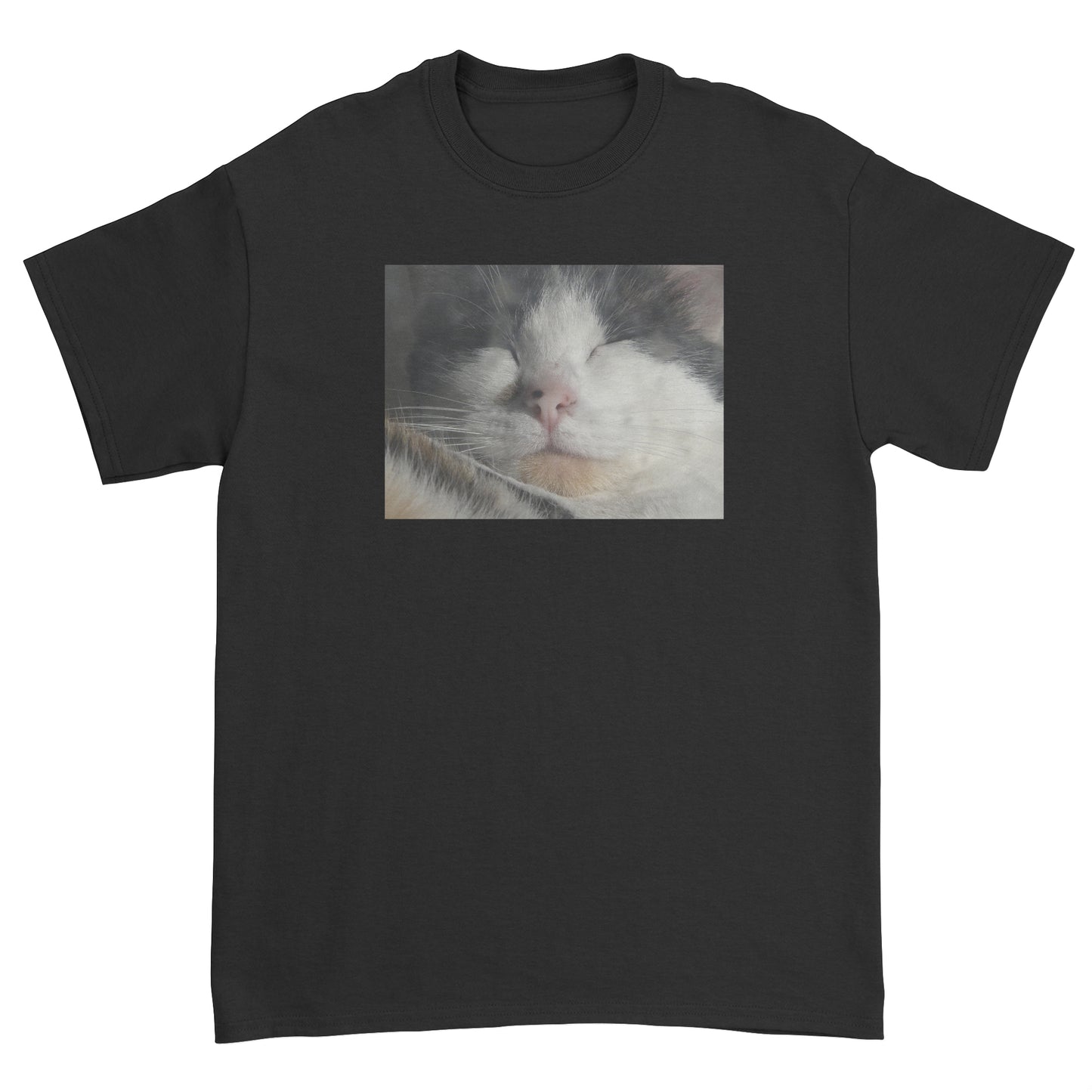 Sleeping Cat T-Shirt