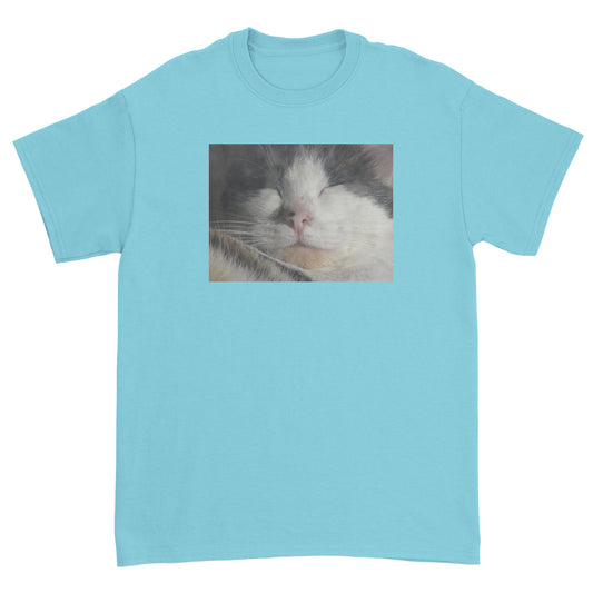 Sleeping Cat T-Shirt